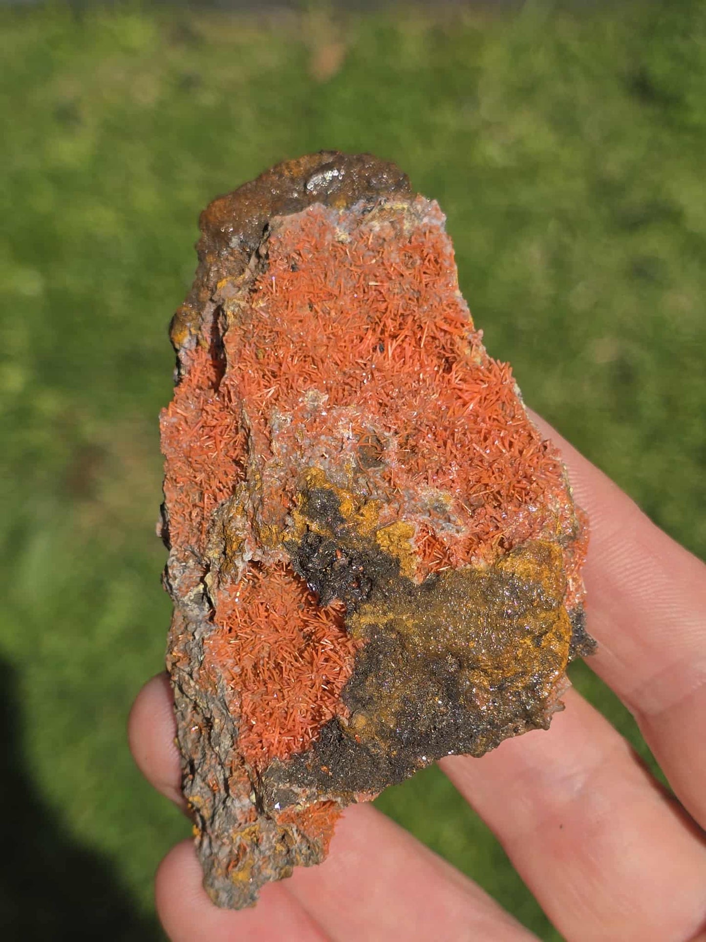 Rare Crocoite specimen Lrg