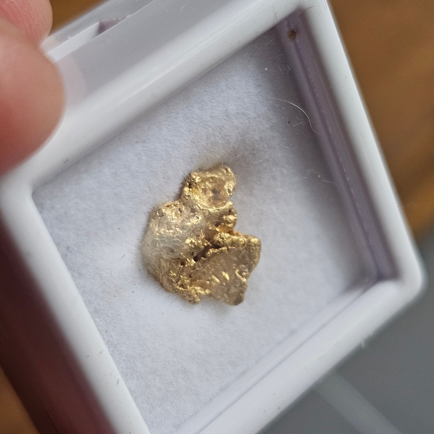 1.56g FNQ GOLD NUGGET