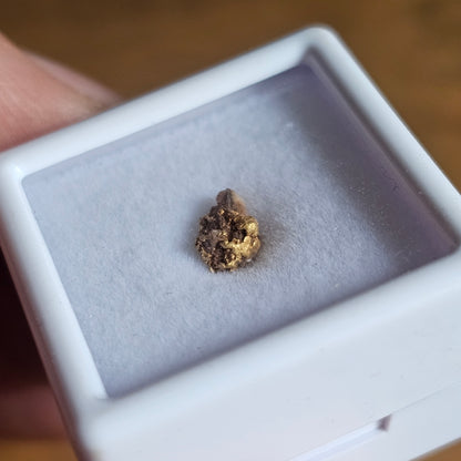 0.36g WA Gold Nugget