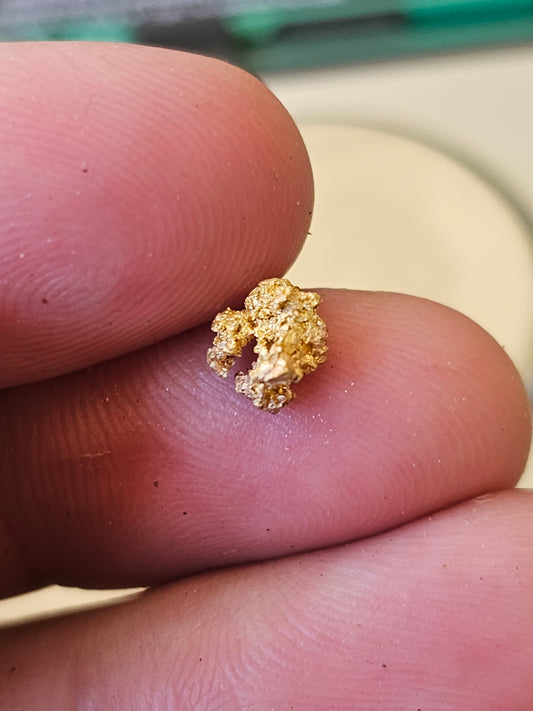 Reef Gold Specimen 0.76 Grams