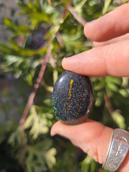 Queensland Fairy Boulder Opal 53ct