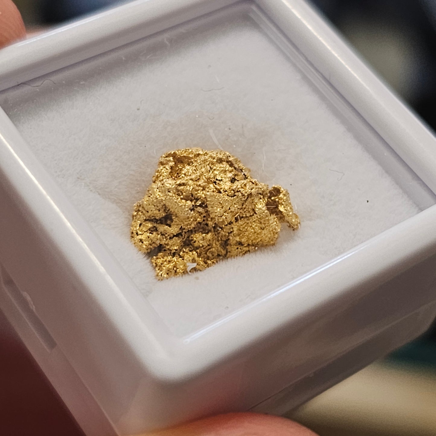 1.72g Reef Gold Nugget