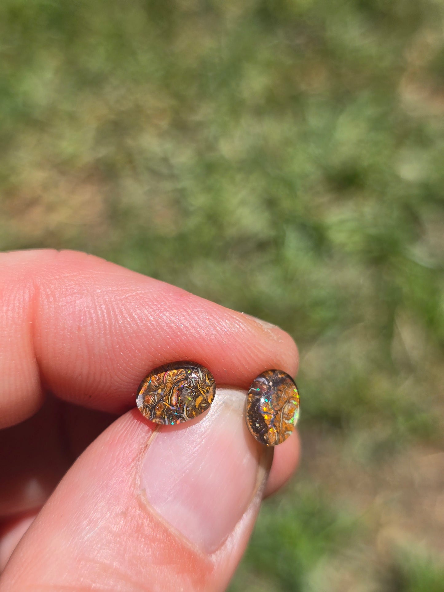 Opal earrings n8