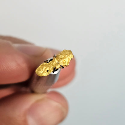 0.827 Western Australia Gold Nugget