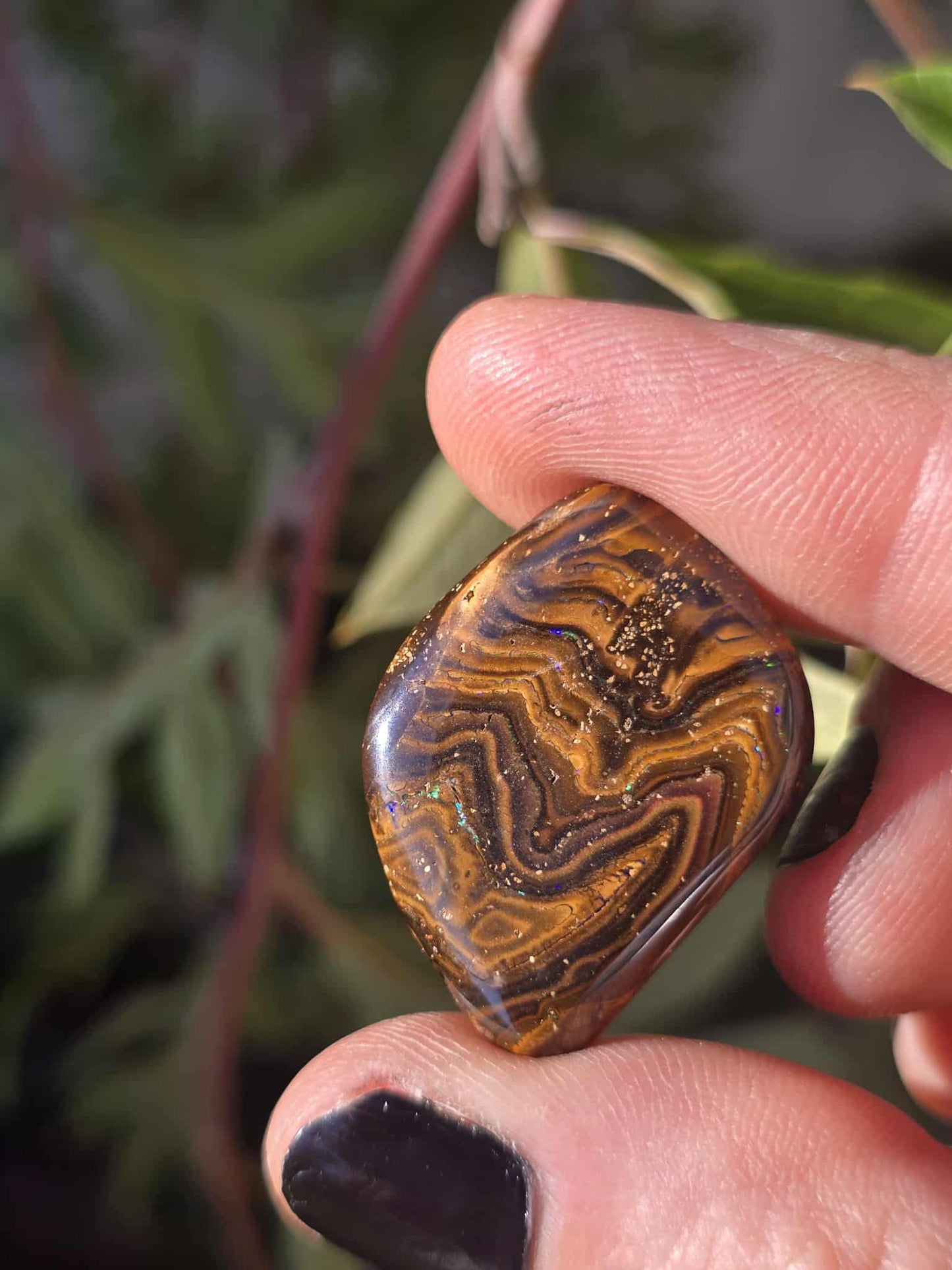Queensland Koroit Opal