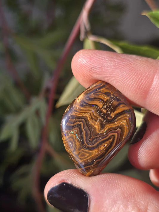 Queensland Koroit Opal