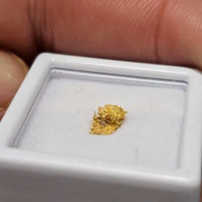0.30g Reef Gold Nugget