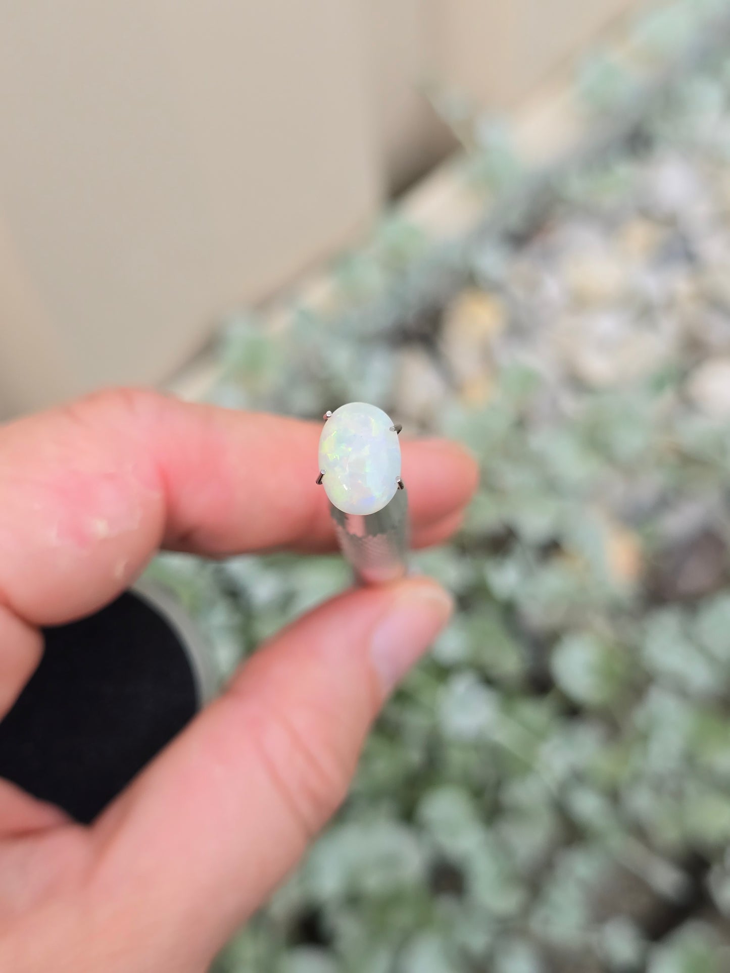Opal, White Range Red flash.