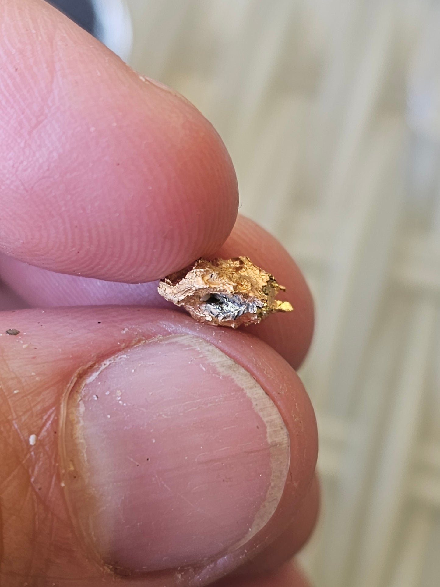 Reef Gold Nugget 1.87 Grams.