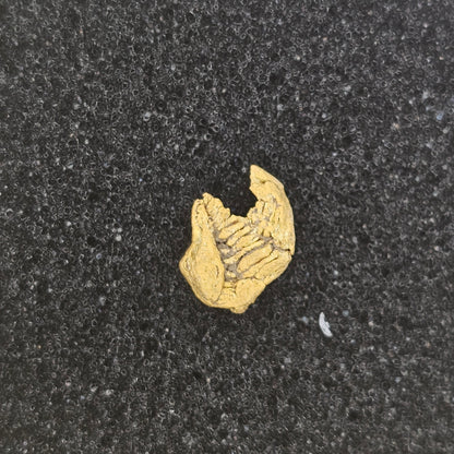 0.62g Bendigo Gold Nugget