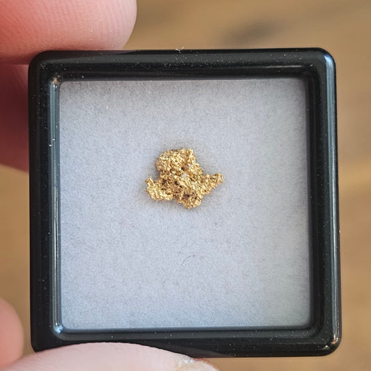 0.22g Bendigo Gold Nugget