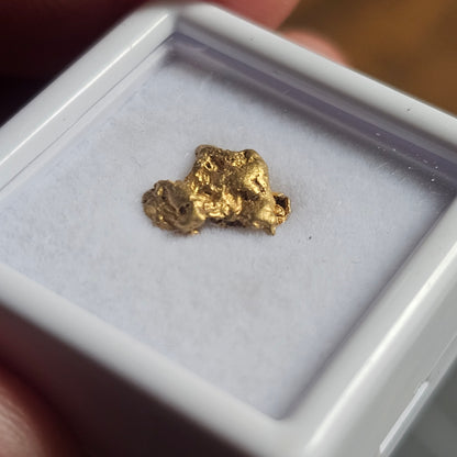 0.83 FNQ gold nugget