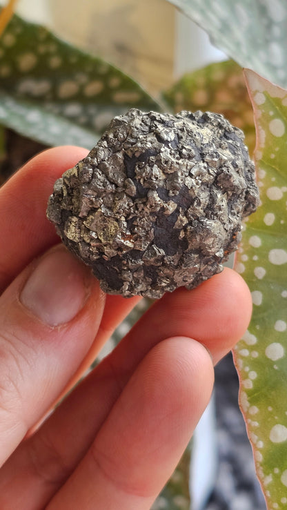 Crystalised Pyrite