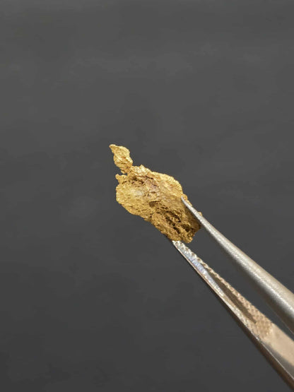 0.27 Gold Leaf Nugget