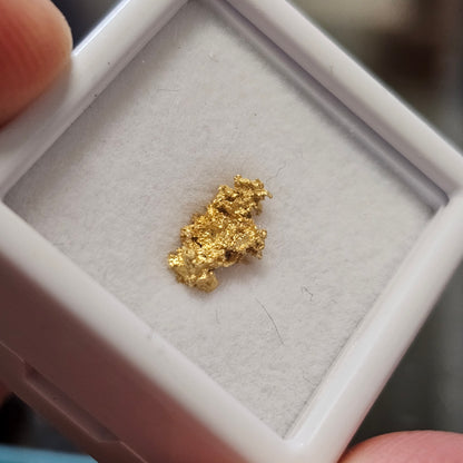 0.38g Reef Gold Nugget