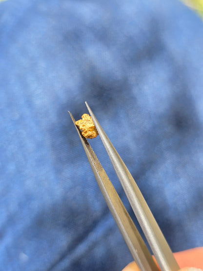 0.234 Gold Nugget