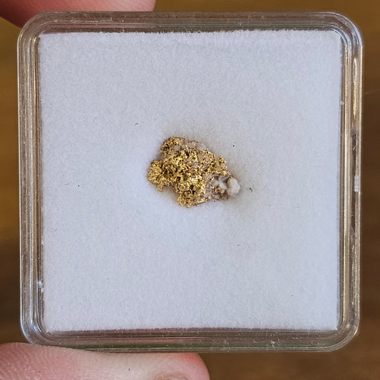 1.137 Gram Ballarat Gold Nugget