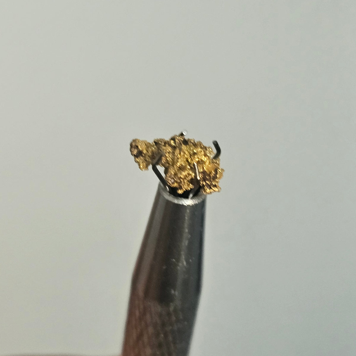 0.527g WA Reef Specimen