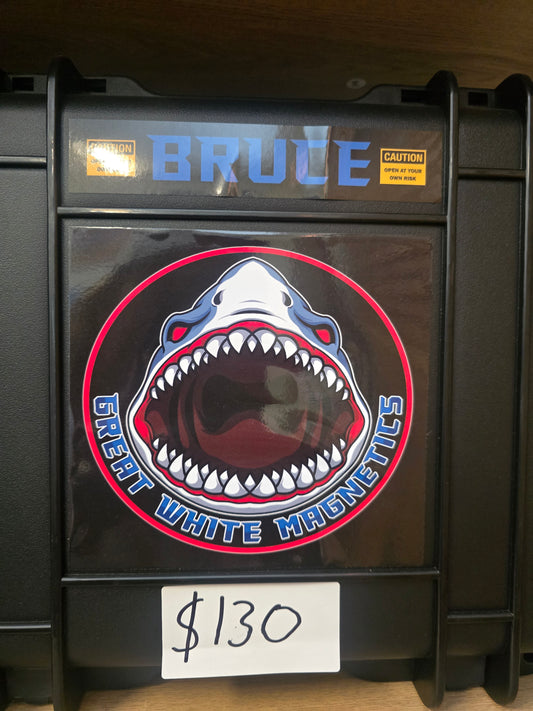 The BRUCE magnet.