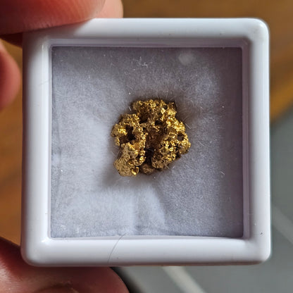 1.86g FNQ gold nugget