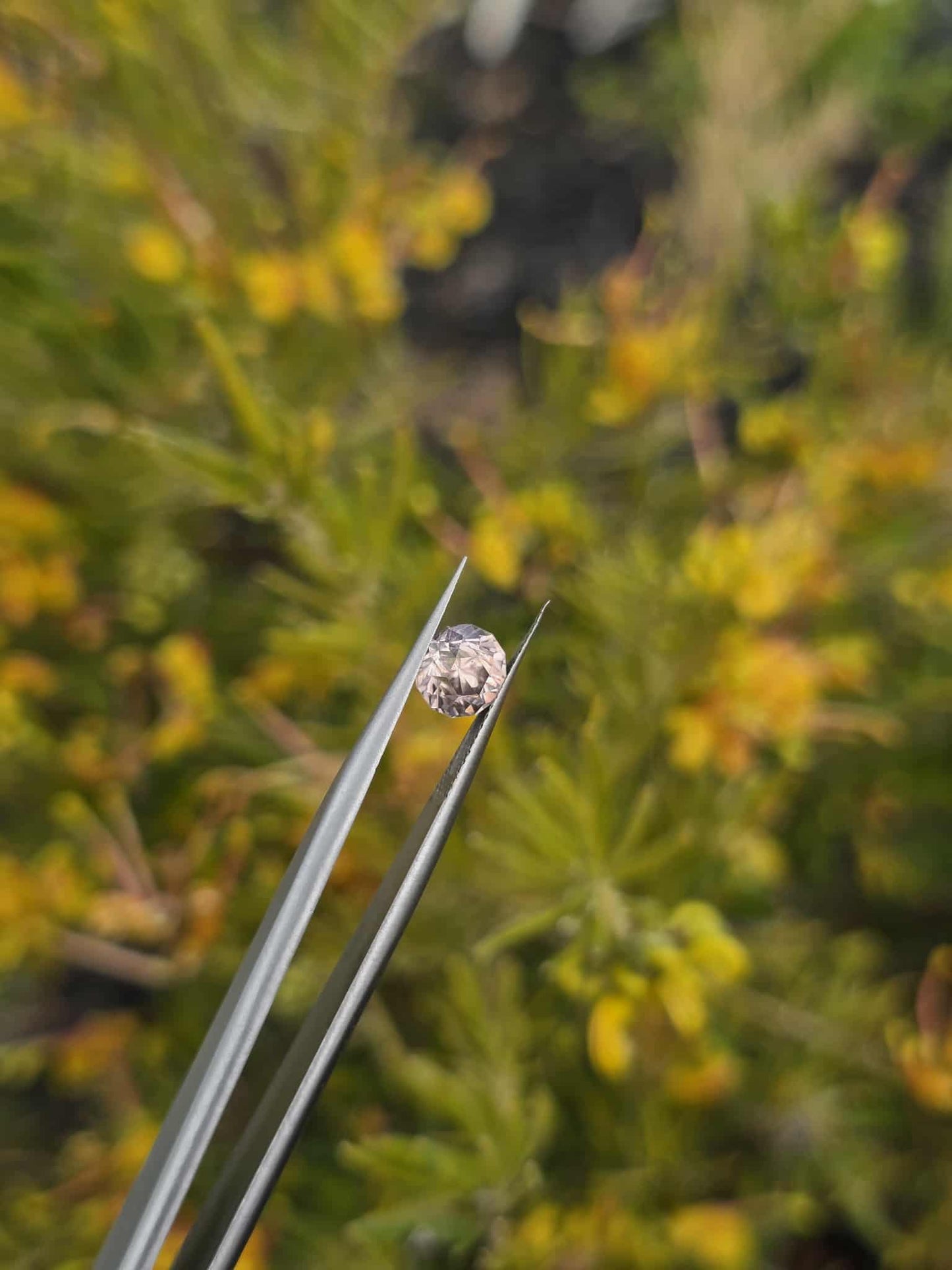 Pink Zircon