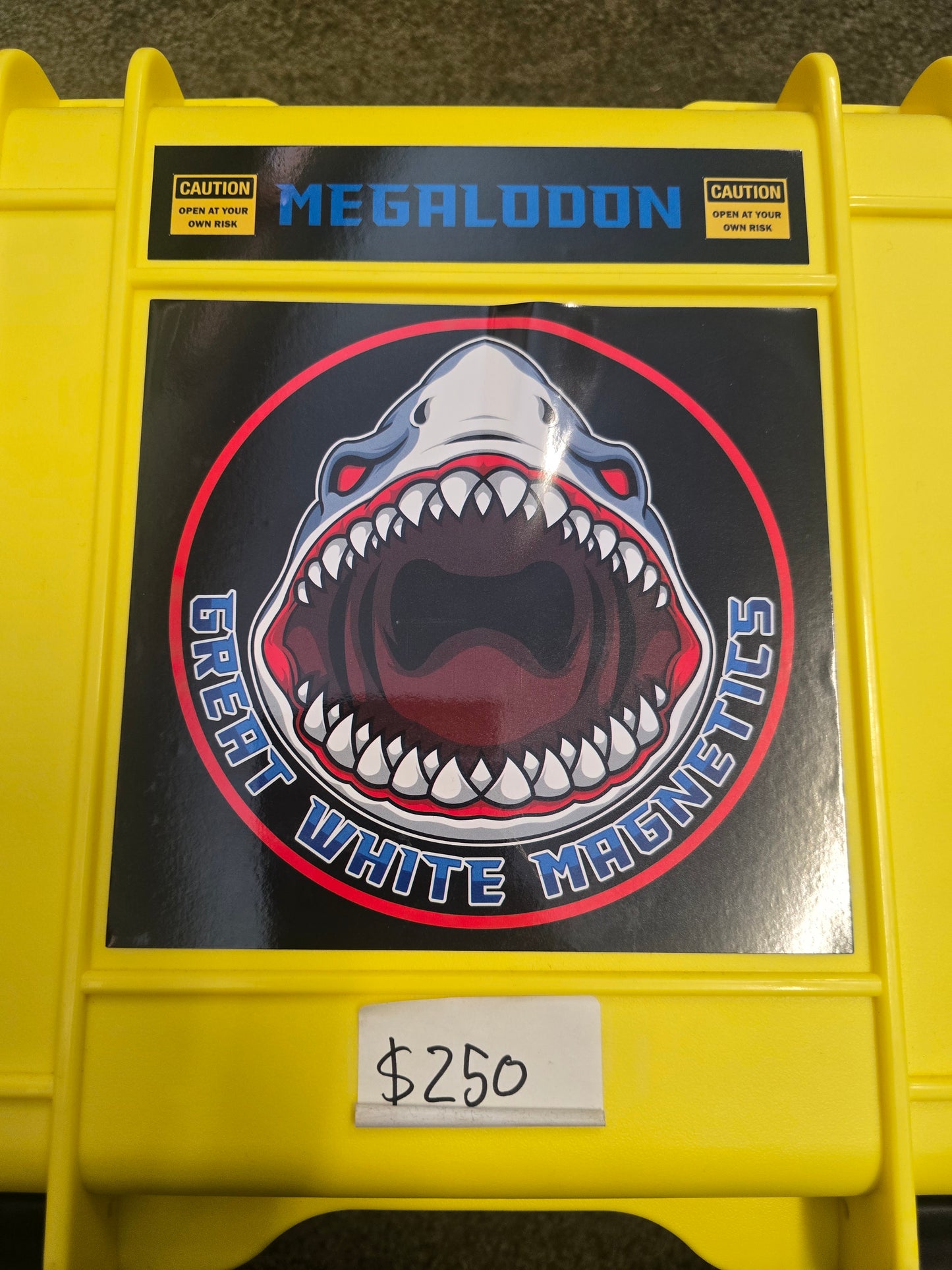 The MEGALODON magnet.