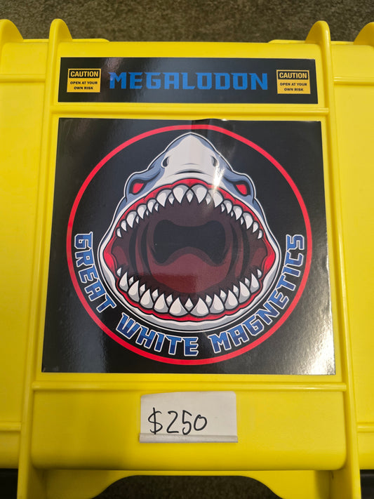 The MEGALODON magnet.