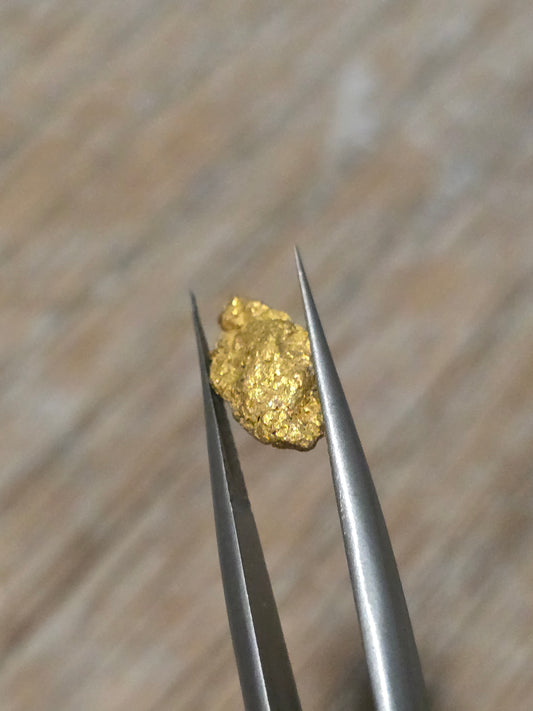 1.134g Clearmont gold nugget