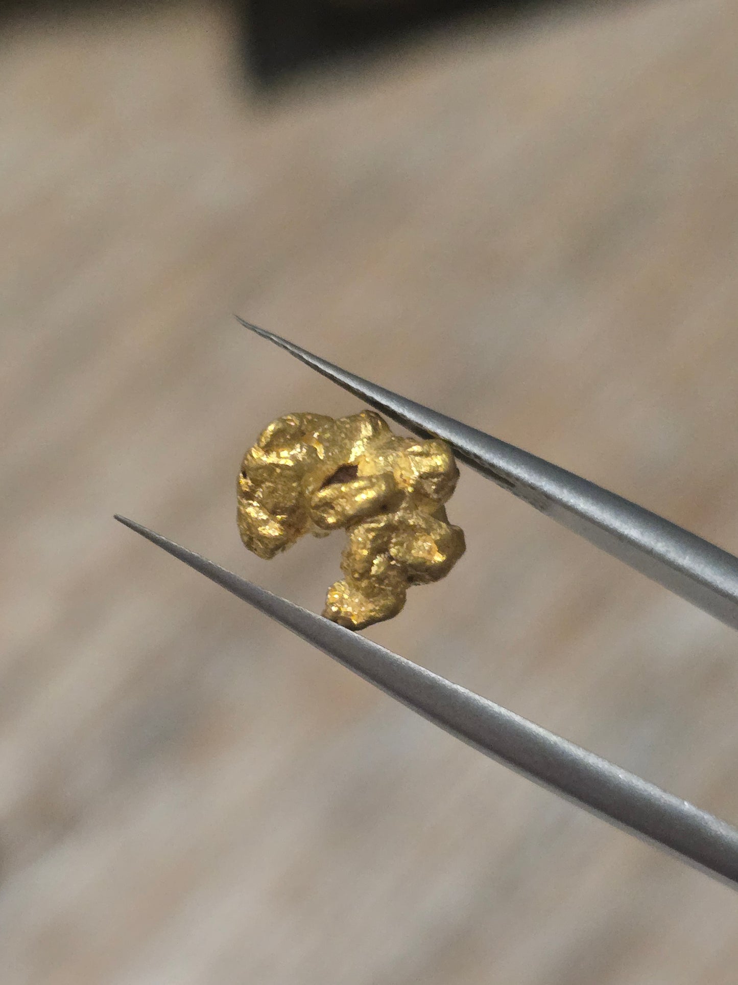 2.624g Clearmont gold nugget