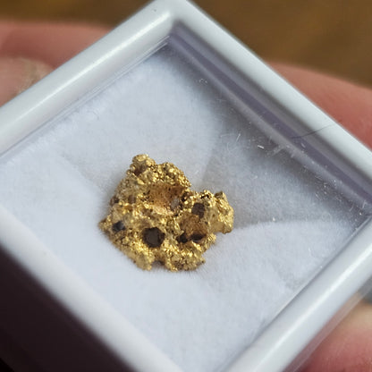 1.86g FNQ gold nugget
