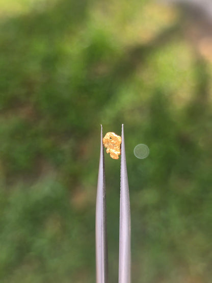 0.22 Gold Nugget