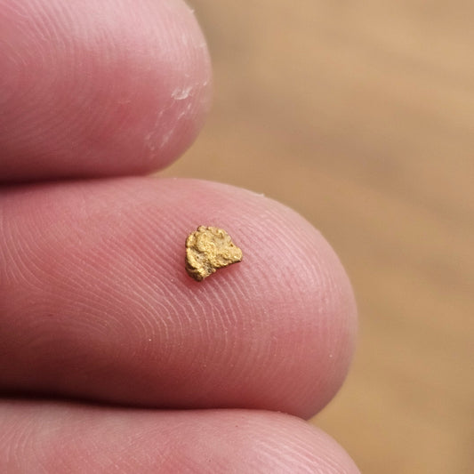 0.114g Beechworth Gold Picker