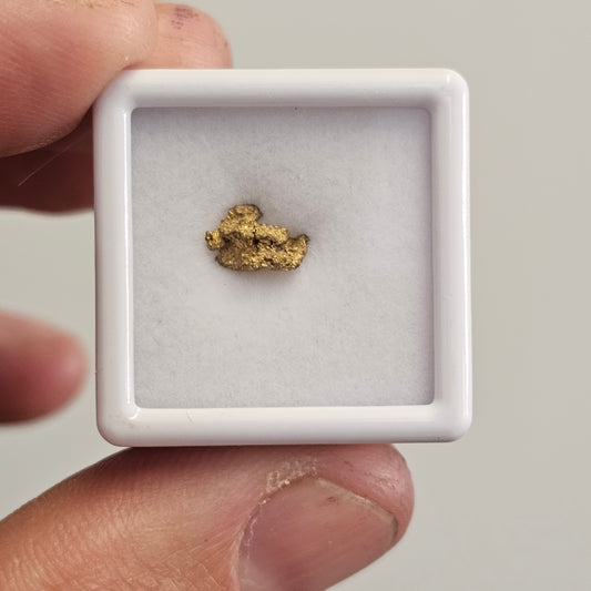 0.54g Rushworth Gold Nugget