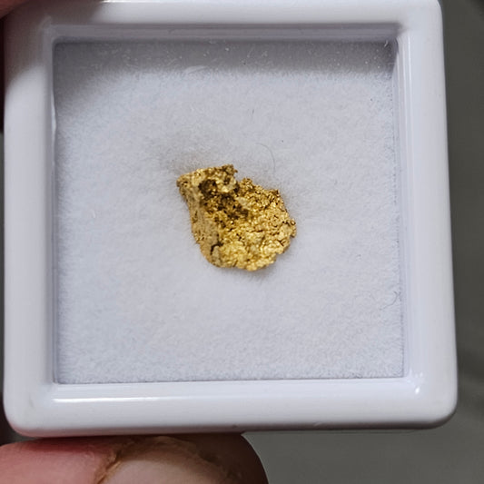 0.38g Reef Gold Specimen