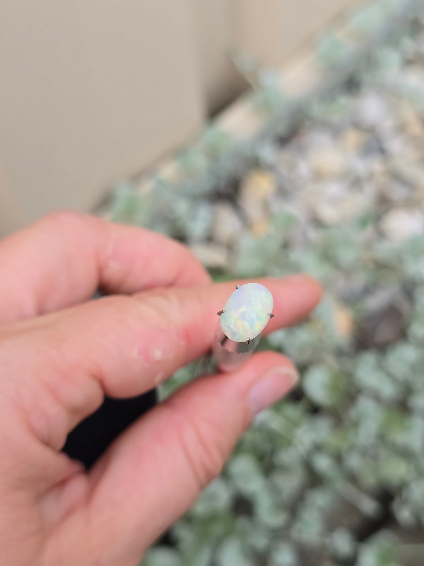 Opal, White Range Red flash.