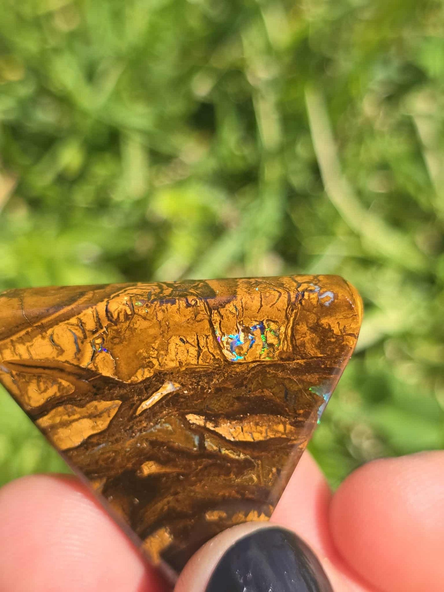 Boulder opal