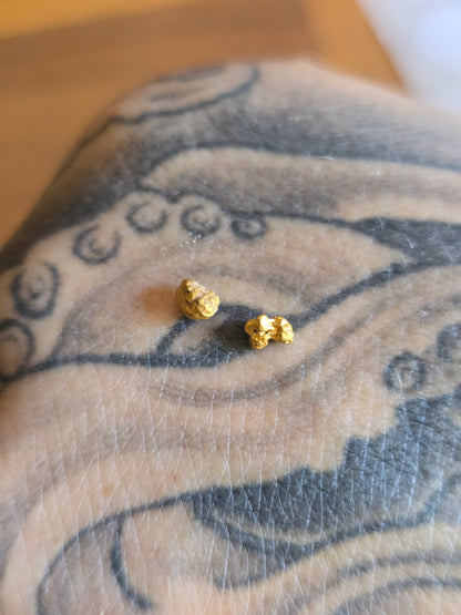 0.44g Gold Nugget