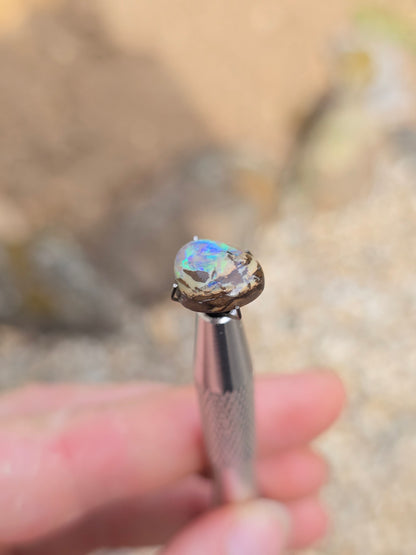 Queensland Opal