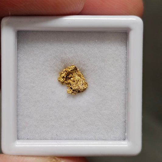 0.31g Reef Gold Specimen