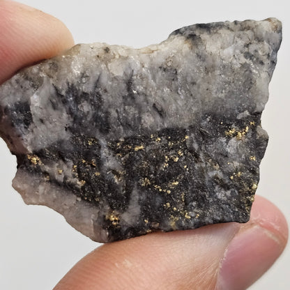 RARE Mitta Mitta Gold Specimen
