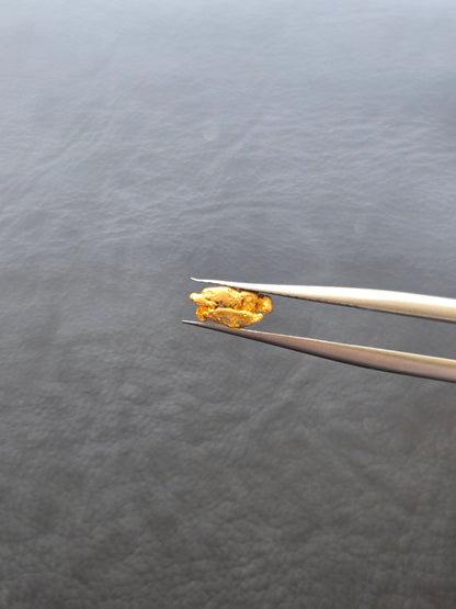 0.28g Gold Nugget