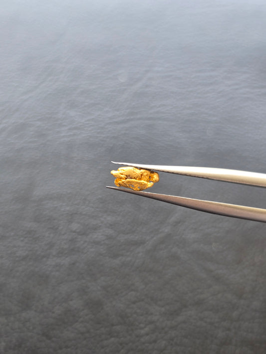 0.28g Gold Nugget