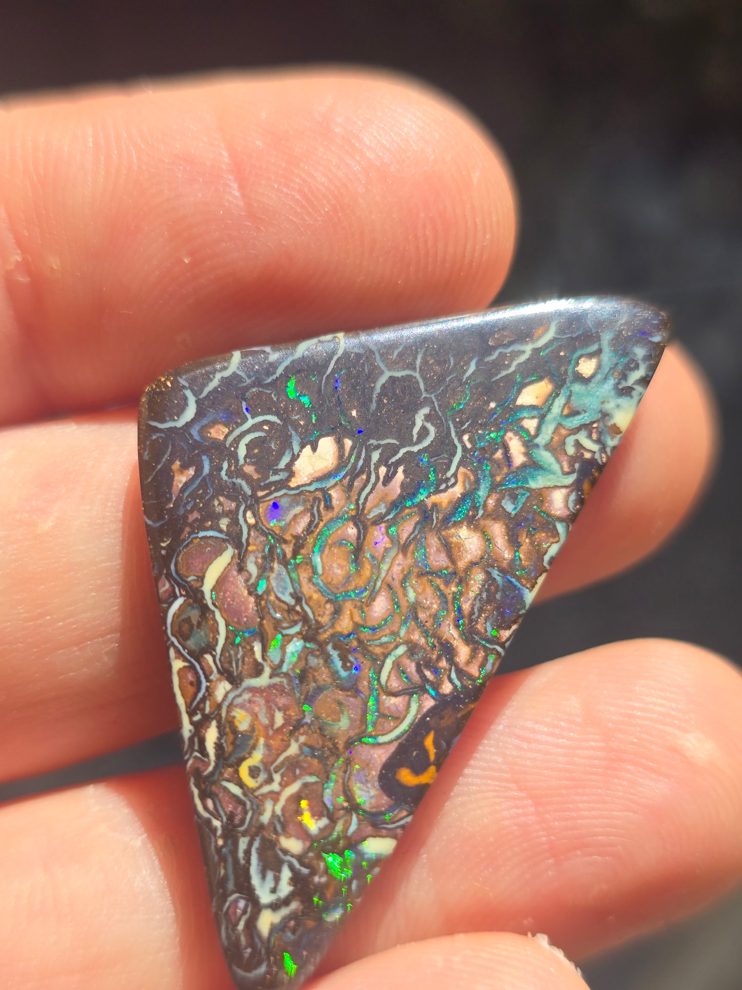Queensland boulder opal
