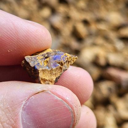 Unsearched Opal Slobber Bags