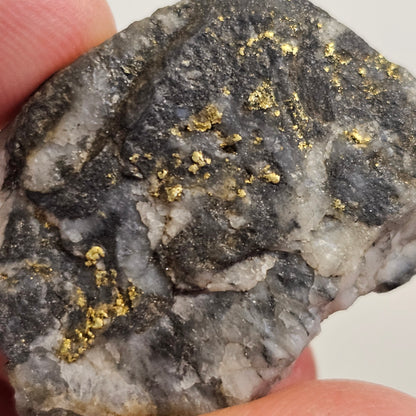 RARE Mitta Mitta Gold Specimen