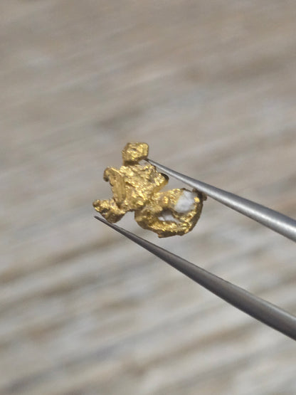 1.205g Clearmont Gold Nugget