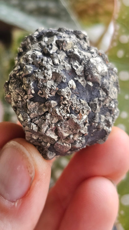 Crystalised Pyrite