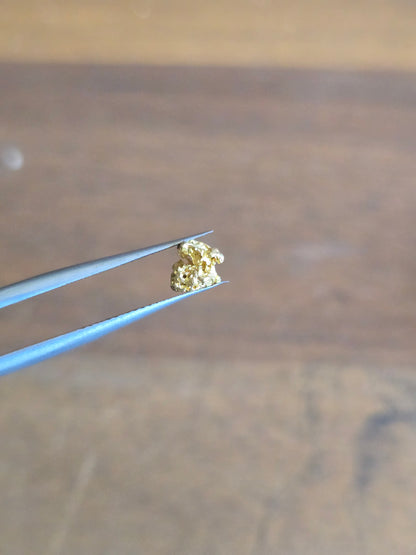 0.59g Gold Nugget