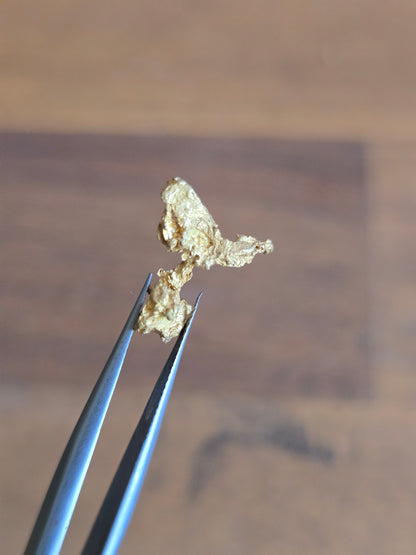 1.34g Gold Nugget