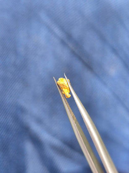 0.31g Gold Nugget